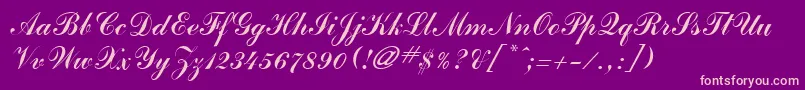 JournalScriptSsi Font – Pink Fonts on Purple Background