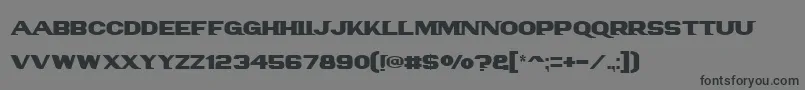 Panamtext-Schriftart – Schwarze Schriften auf grauem Hintergrund