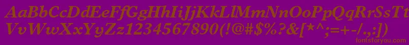 TimeseuropaltstdBolditalic Font – Brown Fonts on Purple Background