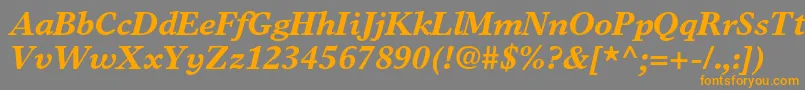 TimeseuropaltstdBolditalic Font – Orange Fonts on Gray Background