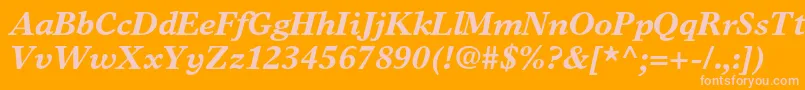 TimeseuropaltstdBolditalic Font – Pink Fonts on Orange Background