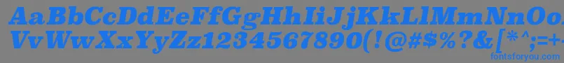 SuperclarendonblItalic-Schriftart – Blaue Schriften auf grauem Hintergrund
