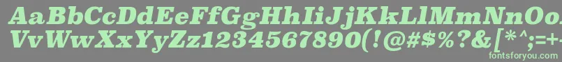 Czcionka SuperclarendonblItalic – zielone czcionki na szarym tle