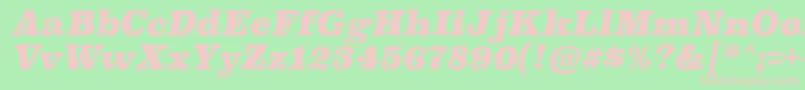 SuperclarendonblItalic-Schriftart – Rosa Schriften auf grünem Hintergrund