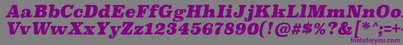 SuperclarendonblItalic Font – Purple Fonts on Gray Background