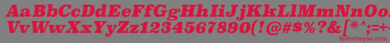 SuperclarendonblItalic Font – Red Fonts on Gray Background