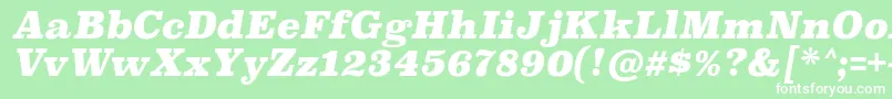 Шрифт SuperclarendonblItalic – белые шрифты на зелёном фоне