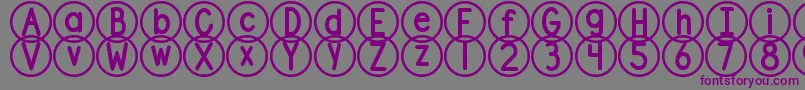 DjbStandardizedTest2 Font – Purple Fonts on Gray Background
