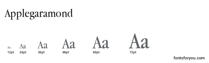 Размеры шрифта Applegaramond
