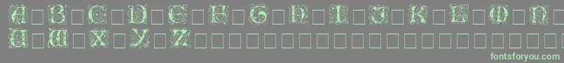 IlluminatitwossidisplaycapsMedium-Schriftart – Grüne Schriften auf grauem Hintergrund