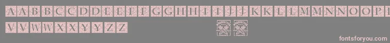 BaroqueExplosion Font – Pink Fonts on Gray Background