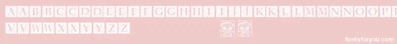 フォントBaroqueExplosion – ピンクの背景に白い文字