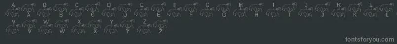 fuente LmsMerryGoRound – Fuentes Grises Sobre Fondo Negro