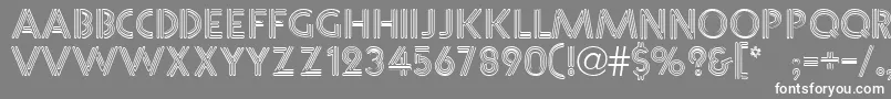 フォントNeoneRegular – 灰色の背景に白い文字