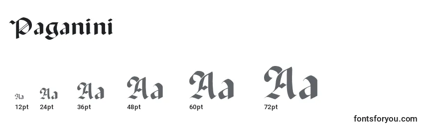 Размеры шрифта Paganini