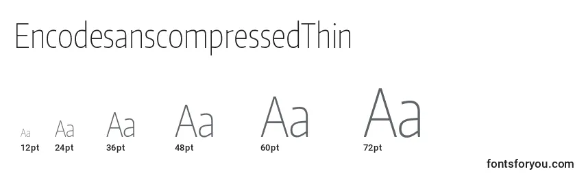 EncodesanscompressedThin Font Sizes