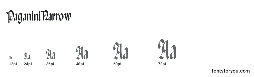 Размеры шрифта PaganiniNarrow