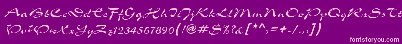 Shogun Font – Pink Fonts on Purple Background