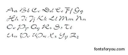 Обзор шрифта Shogun