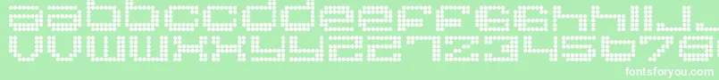 RoundRegular Font – White Fonts on Green Background