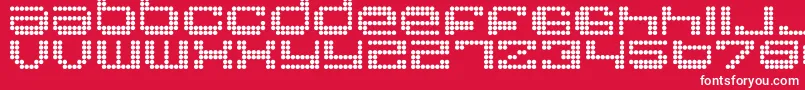 RoundRegular Font – White Fonts on Red Background
