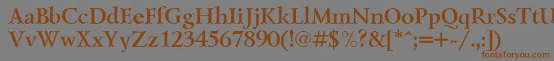 LazurskicttBold Font – Brown Fonts on Gray Background