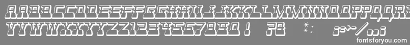 WebsterWorld Font – White Fonts on Gray Background