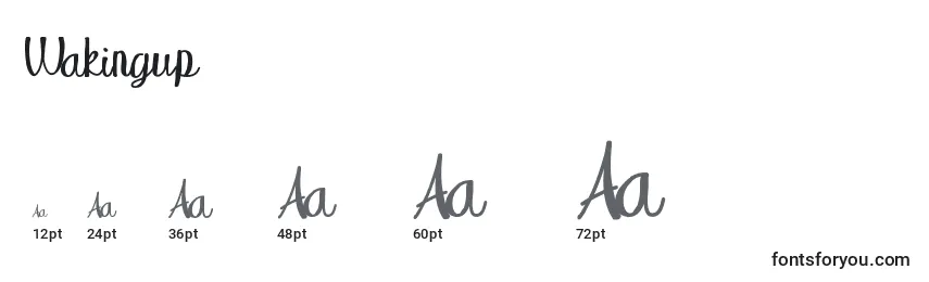 Wakingup Font Sizes