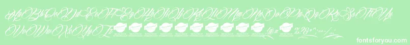 Billionstars Font – White Fonts on Green Background