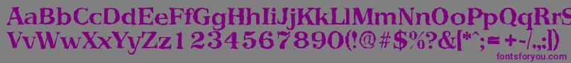 PriamosrandomBold Font – Purple Fonts on Gray Background