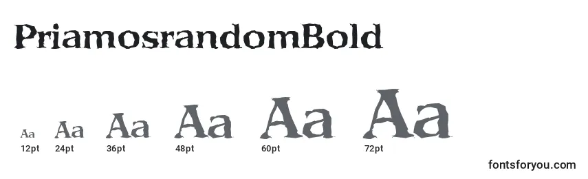 Размеры шрифта PriamosrandomBold