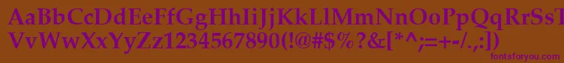 PalatiaBold Font – Purple Fonts on Brown Background