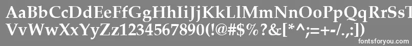 フォントPalatiaBold – 灰色の背景に白い文字