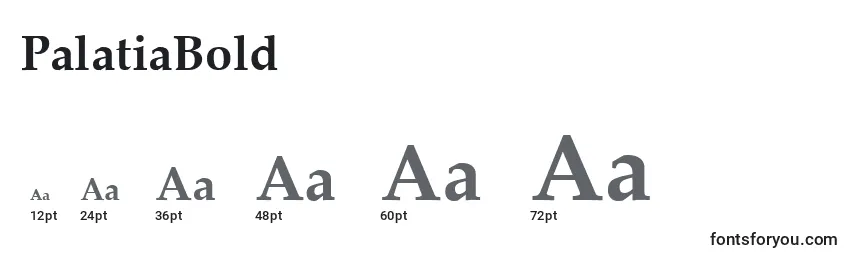 PalatiaBold Font Sizes