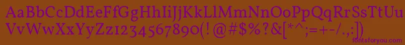 Vollkorn Font – Purple Fonts on Brown Background