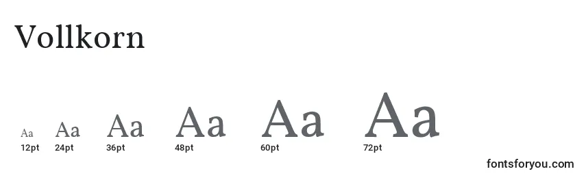 Размеры шрифта Vollkorn