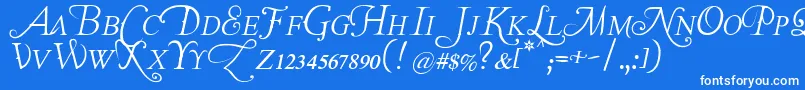 Lastfontwastingonyou Font – White Fonts on Blue Background