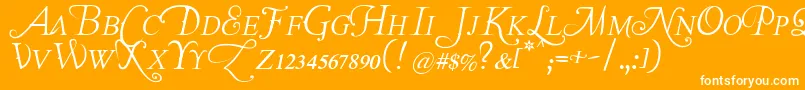 Lastfontwastingonyou Font – White Fonts on Orange Background