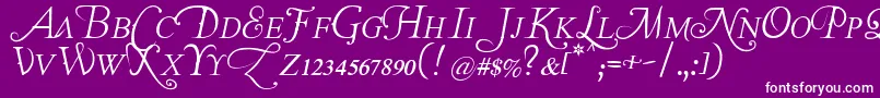 Lastfontwastingonyou Font – White Fonts on Purple Background