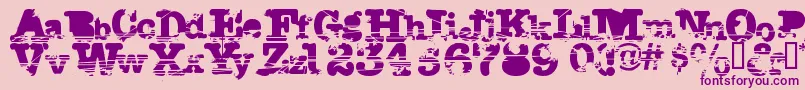More about Sacrafic Font Sacrafic Font – Purple Fonts on Pink Background