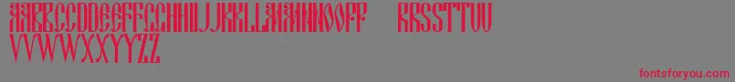 Ds Cyrillic Font – Red Fonts on Gray Background