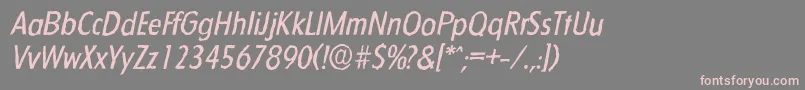 FloridaantiqueItalic Font – Pink Fonts on Gray Background