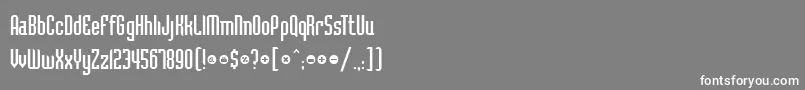 SchillingRegular Font – White Fonts on Gray Background