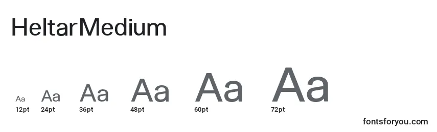HeltarMedium Font Sizes