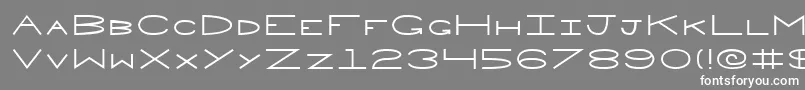 Penne Font – White Fonts on Gray Background