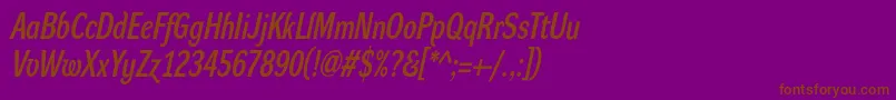 DynagrotesklcBolditalic-Schriftart – Braune Schriften auf violettem Hintergrund
