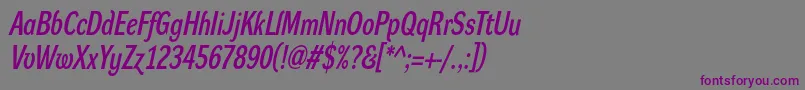 DynagrotesklcBolditalic-fontti – violetit fontit harmaalla taustalla
