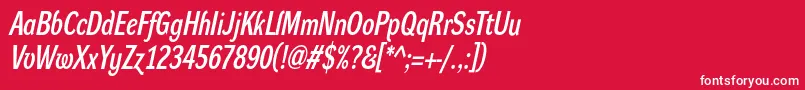 フォントDynagrotesklcBolditalic – 赤い背景に白い文字