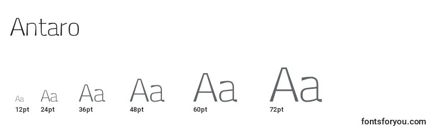 Размеры шрифта Antaro