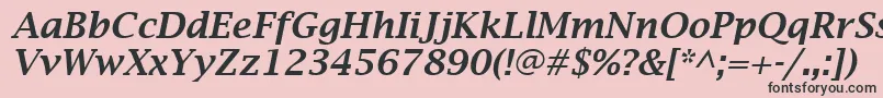 LucidaBrightDemiboldItalic Font – Black Fonts on Pink Background